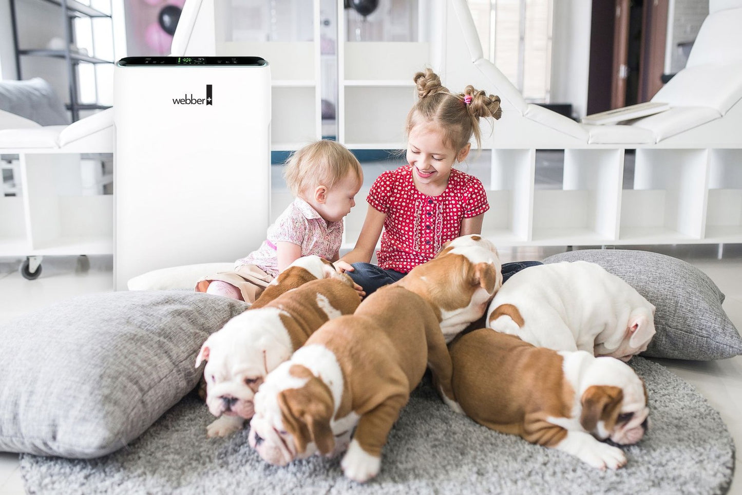 Webber AP8700 HEPA air purifier for smog
