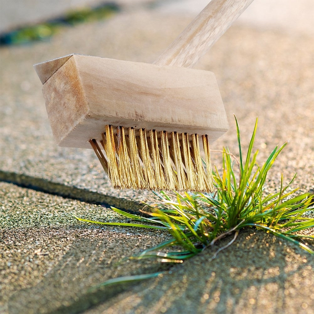 Weed Brush with Scraper for Effective Weed Removal
