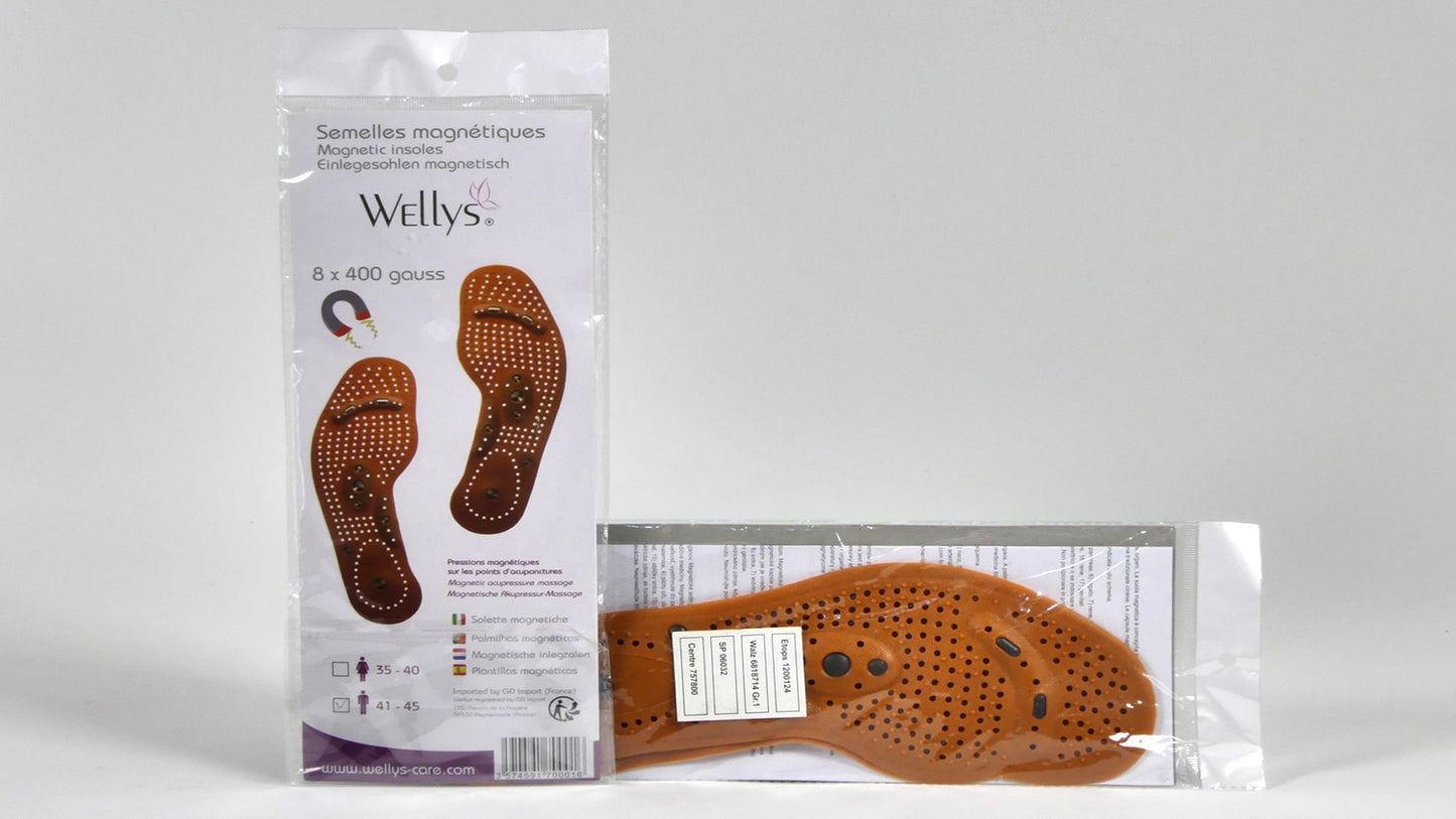 Wellys Large Acupuncture Insoles (Size:41-45)