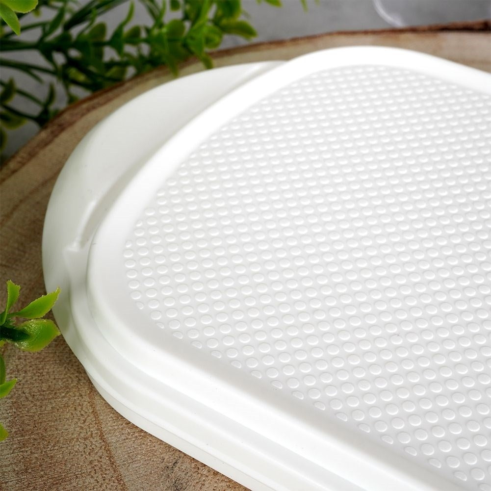 White Butter Box with Transparent Lid for Storage and Serving