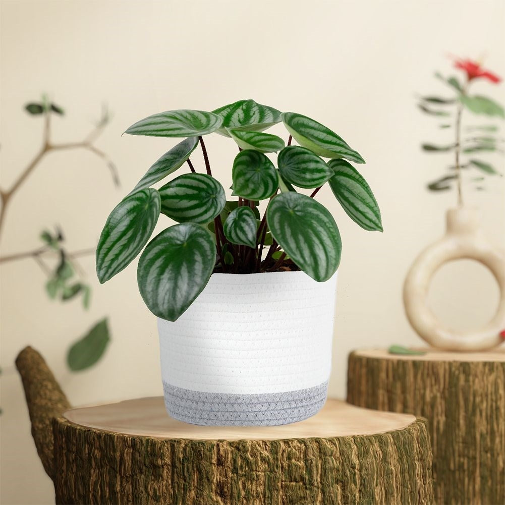 White and gray cotton basket for pot protection and storage