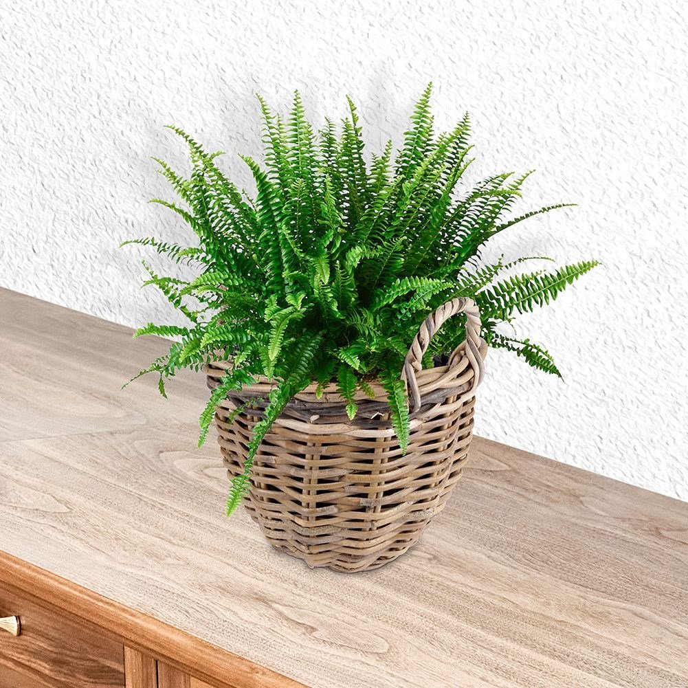 Wicker Rattan Pot with Plastic Lining for Plants