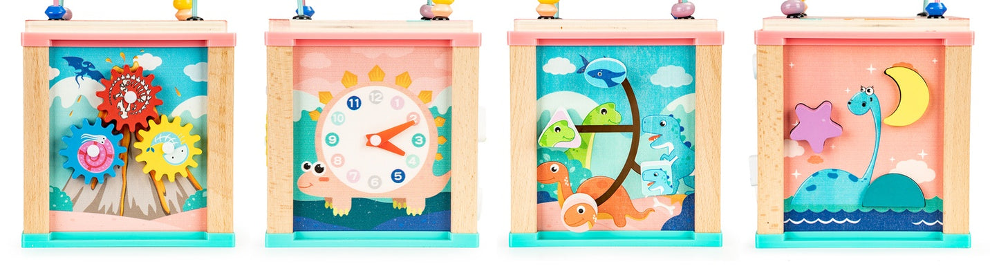 Wooden educational cube, ECOTOYS mula sorter