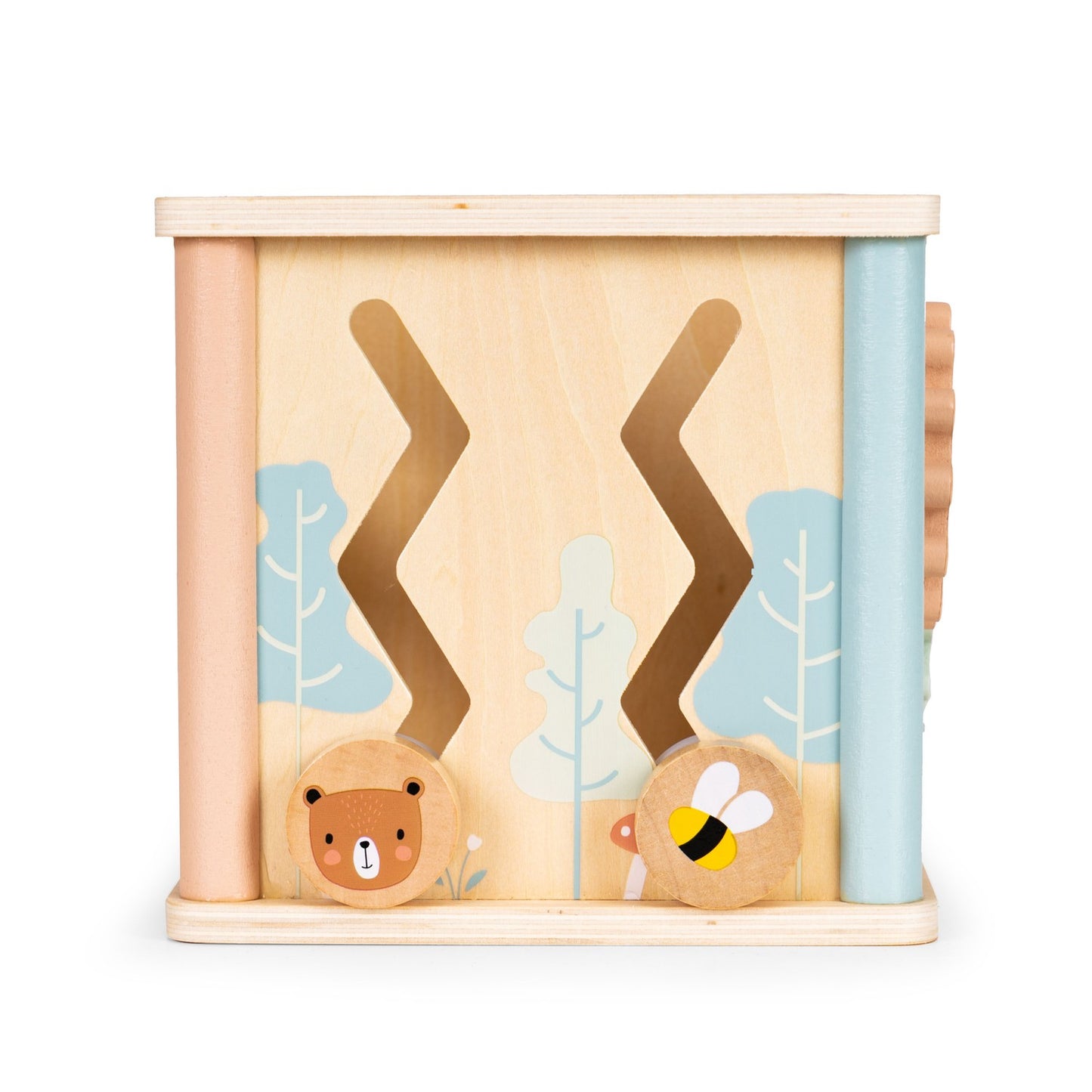 Wooden educational cube sorter Ecotoys blocks
