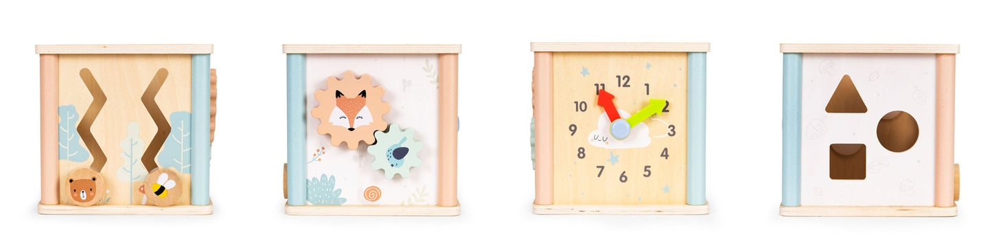 Wooden educational cube sorter Ecotoys blocks