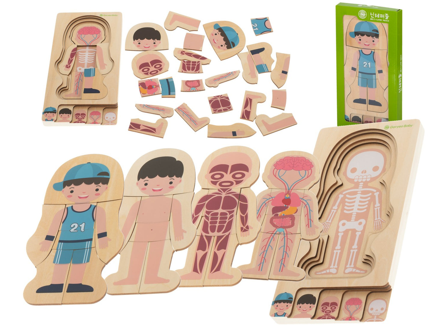 Wooden layered puzzle montessori body building boy