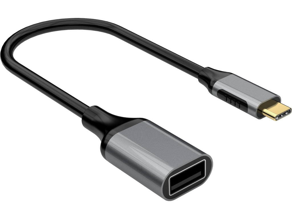 iiglo USB-C to USB-A Adapter - Grey